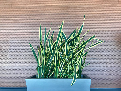 Terracoustics happy customers