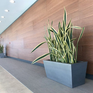 Accoustic Wood Panel Installation
