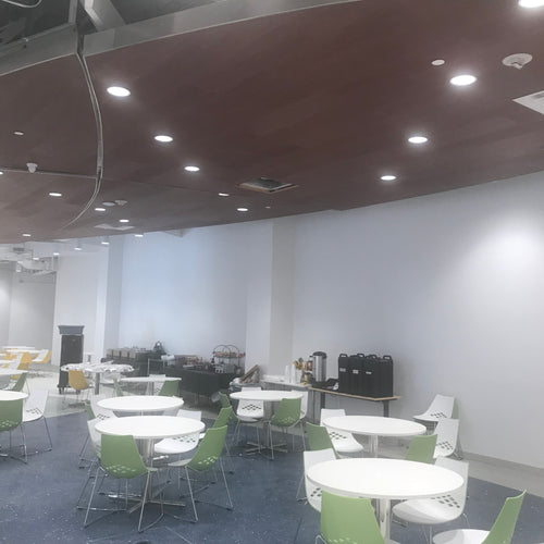 Perforated Acoustic Wood Panels for Walls and Ceilings Example