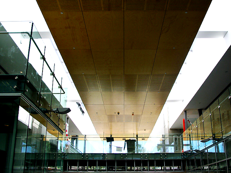 Acoustic Wood Ceiling Panels for Offices: Improve Sound and Style ...