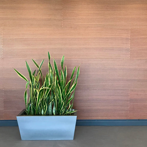 Grooved Acoustic Wood Wall Panels Example